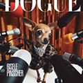 Gisele Pinscher na capa da Vogue, Brasil.jpg